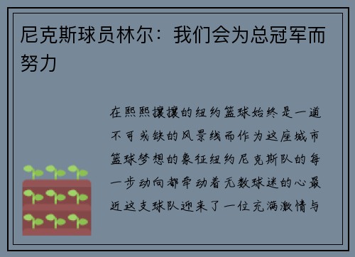 尼克斯球员林尔：我们会为总冠军而努力